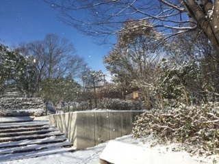20171227.jpg